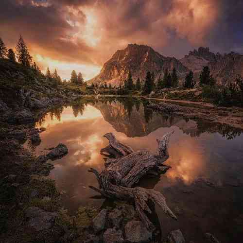 رضا ژیان درد شکسته قلبمو بیزارم از دنیای نامرد